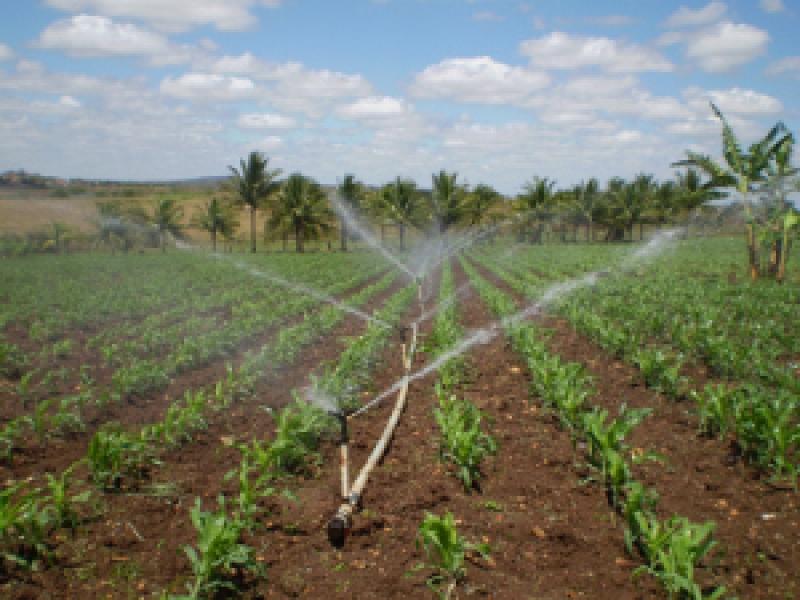 Read more about the article Kits de irrigação melhoram produção no semiárido